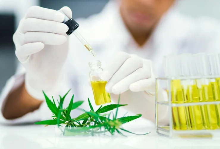 How to Test the CBD Content of Your Weed