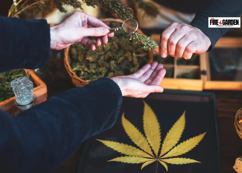 Top Picks Exploring the Best Cannabis Store in Port Hueneme