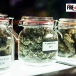 Inside The Fire Garden: An In-depth Look at Oxnard's Top Cannabis Outlet