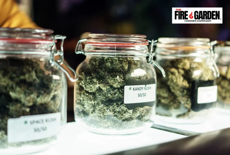 Inside The Fire Garden An In-depth Look at Oxnard’s Top Cannabis Outlet