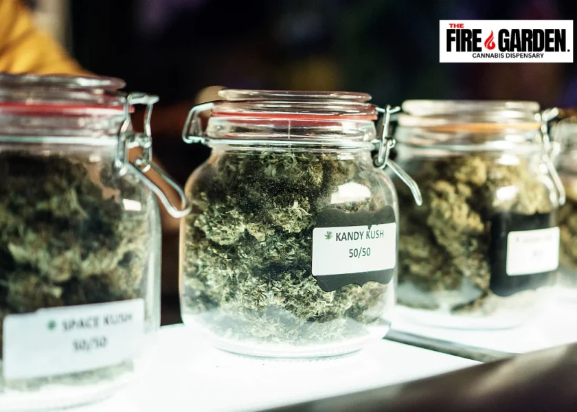 Inside The Fire Garden An In-depth Look at Oxnard’s Top Cannabis Outlet