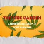 The Fire Garden: Setting the Standard for Cannabis Delivery in Port Hueneme