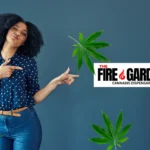 Your Ultimate Guide to The Fire Garden’s Best Cannabis Brands of 2024