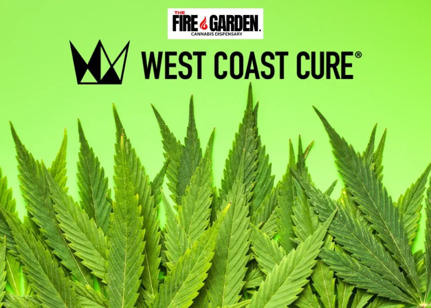 Seed to Sale The Journey of West Coast Cure Cannabis at The Fire Garden