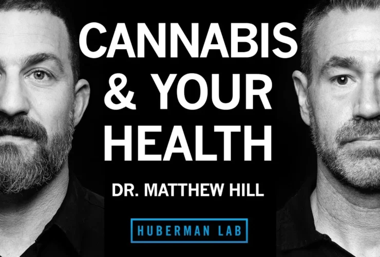 Exploring Cannabis: Effects, Uses, and Misconceptions