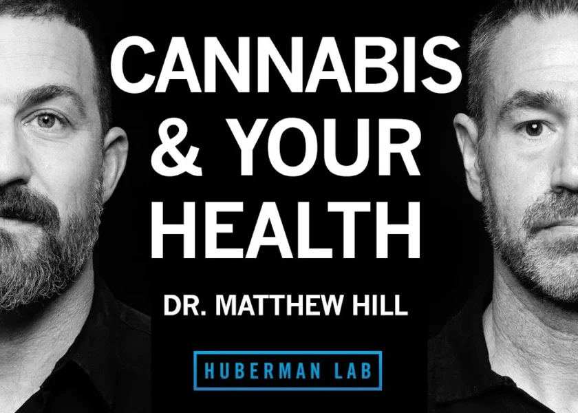 Exploring Cannabis: Effects, Uses, and Misconceptions