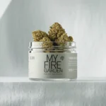Discover the Best Cannabis Dispensary in Oxnard This Weekend