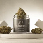 Explora la Escena del Cannabis en Ventura: Dónde Comprar THC de Calidad