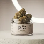 Descubre My Fire Garden: El Mejor Dispensario de Cannabis en Ventura
