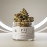Camarillo's Hybrid Craze: The Buzz Around My Fire Garden's Latest Cannabis Innovations