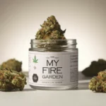 Discover the Buzz: My Fire Garden's Cannabis Culture in Camarillo