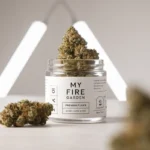 Discover the Best Cannabis Dispensary in Ventura: My Fire Garden